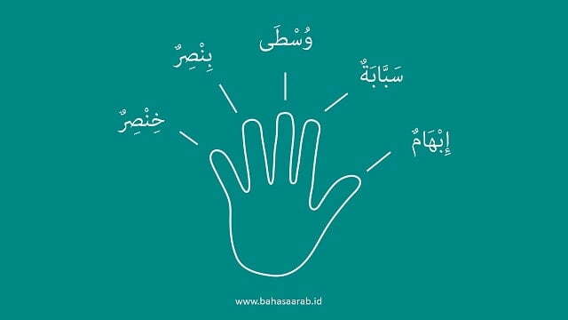 bahasa arab jari jemari tangan